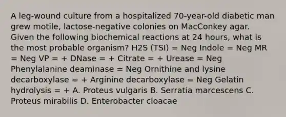 A leg-wound culture from a hospitalized 70-year-old diabetic man grew motile, lactose-negative colonies on MacConkey agar. Given the following <a href='https://www.questionai.com/knowledge/kVn7fMxiFS-biochemical-reactions' class='anchor-knowledge'>biochemical reactions</a> at 24 hours, what is the most probable organism? H2S (TSI) = Neg Indole = Neg MR = Neg VP = + DNase = + Citrate = + Urease = Neg Phenylalanine deaminase = Neg Ornithine and lysine decarboxylase = + Arginine decarboxylase = Neg Gelatin hydrolysis = + A. Proteus vulgaris B. Serratia marcescens C. Proteus mirabilis D. Enterobacter cloacae