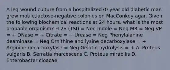 A leg-wound culture from a hospitalized70-year-old diabetic man grew motile,lactose-negative colonies on MacConkey agar. Given the following biochemical reactions at 24 hours, what is the most probable organism? H 2S (TSI) = Neg Indole = Neg MR = Neg VP = + DNase = + Citrate = + Urease = Neg Phenylalanine deaminase = Neg Ornithine and lysine decarboxylase = + Arginine decarboxylase = Neg Gelatin hydrolysis = + A. Proteus vulgaris B. Serratia marcescens C. Proteus mirabilis D. Enterobacter cloacae