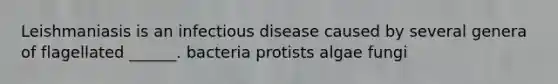 Leishmaniasis is an infectious disease caused by several genera of flagellated ______. bacteria protists algae fungi