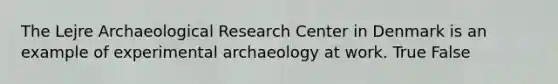 The Lejre Archaeological Research Center in Denmark is an example of experimental archaeology at work. True False