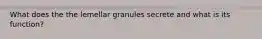 What does the the lemellar granules secrete and what is its function?