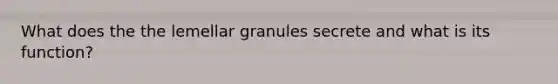 What does the the lemellar granules secrete and what is its function?