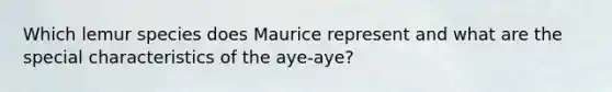 Which lemur species does Maurice represent and what are the special characteristics of the aye-aye?