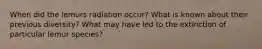 When did the lemurs radiation occur? What is known about their previous diversity? What may have led to the extinction of particular lemur species?