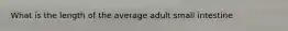 What is the length of the average adult small intestine