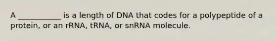 A ___________ is a length of DNA that codes for a polypeptide of a protein, or an rRNA, tRNA, or snRNA molecule.