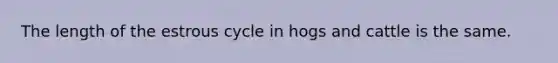 The length of the estrous cycle in hogs and cattle is the same.