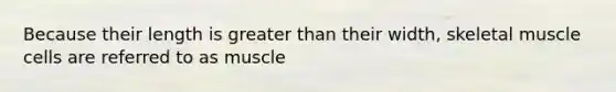 Because their length is greater than their width, skeletal muscle cells are referred to as muscle