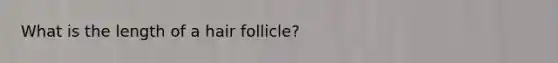 What is the length of a hair follicle?