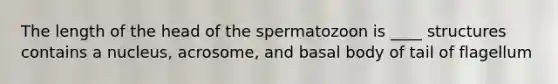 The length of the head of the spermatozoon is ____ structures contains a nucleus, acrosome, and basal body of tail of flagellum