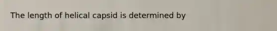 The length of helical capsid is determined by