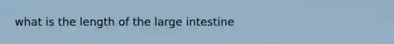 what is the length of the large intestine