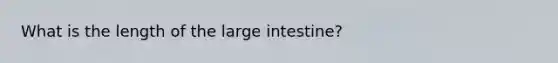 What is the length of the large intestine?