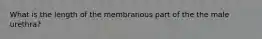 What is the length of the membranous part of the the male urethra?