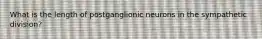 What is the length of postganglionic neurons in the sympathetic division?