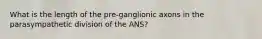 What is the length of the pre-ganglionic axons in the parasympathetic division of the ANS?