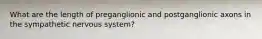 What are the length of preganglionic and postganglionic axons in the sympathetic nervous system?