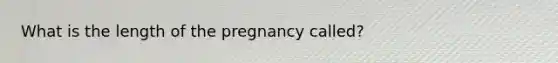 What is the length of the pregnancy called?