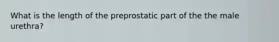 What is the length of the preprostatic part of the the male urethra?