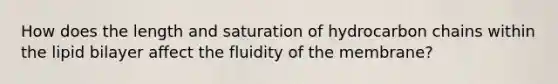 How does the length and saturation of hydrocarbon chains within the lipid bilayer affect the fluidity of the membrane?