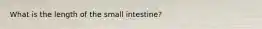 What is the length of the small intestine?