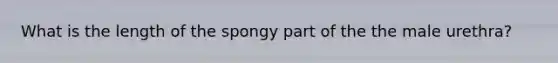 What is the length of the spongy part of the the male urethra?