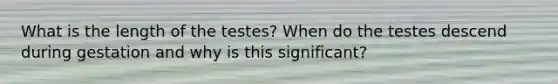 What is the length of the testes? When do the testes descend during gestation and why is this significant?