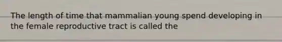 The length of time that mammalian young spend developing in the female reproductive tract is called the