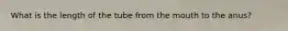 What is the length of the tube from the mouth to the anus?