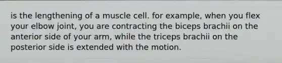 is the lengthening of a muscle cell. for example, when you flex your elbow joint, you are contracting the biceps brachii on the anterior side of your arm, while the triceps brachii on the posterior side is extended with the motion.