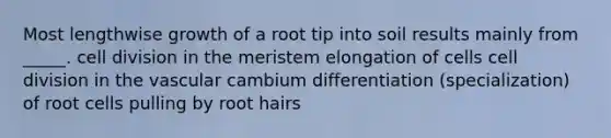 Most lengthwise growth of a root tip into soil results mainly from _____. cell division in the meristem elongation of cells cell division in the vascular cambium differentiation (specialization) of root cells pulling by root hairs