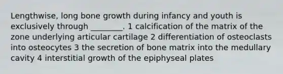 Lengthwise, long bone growth during infancy and youth is exclusively through ________. 1 calcification of the matrix of the zone underlying articular cartilage 2 differentiation of osteoclasts into osteocytes 3 the secretion of bone matrix into the medullary cavity 4 interstitial growth of the epiphyseal plates