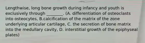 Lengthwise, long bone growth during infancy and youth is exclusively through ________. (A. differentiation of osteoclasts into osteocytes, B.calcification of the matrix of the zone underlying articular cartilage, C. the secretion of bone matrix into the medullary cavity, D. interstitial growth of the epiphyseal plates)