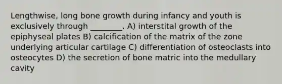 Lengthwise, long bone growth during infancy and youth is exclusively through ________. A) interstital growth of the epiphyseal plates B) calcification of the matrix of the zone underlying articular cartilage C) differentiation of osteoclasts into osteocytes D) the secretion of bone matric into the medullary cavity