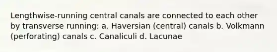 Lengthwise-running central canals are connected to each other by transverse running: a. Haversian (central) canals b. Volkmann (perforating) canals c. Canaliculi d. Lacunae