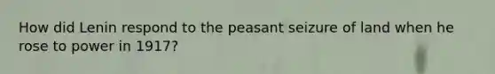 How did Lenin respond to the peasant seizure of land when he rose to power in 1917?