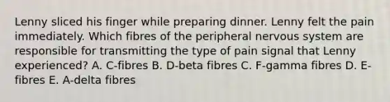 Lenny sliced his finger while preparing dinner. Lenny felt the pain immediately. Which fibres of the peripheral nervous system are responsible for transmitting the type of pain signal that Lenny experienced? A. C-fibres B. D-beta fibres C. F-gamma fibres D. E-fibres E. A-delta fibres