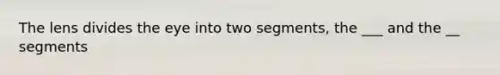 The lens divides the eye into two segments, the ___ and the __ segments