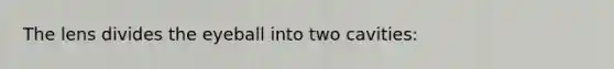 The lens divides the eyeball into two cavities: