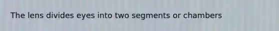 The lens divides eyes into two segments or chambers