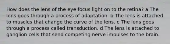 How does the lens of the eye focus light on to the retina? a The lens goes through a process of adaptation. b The lens is attached to muscles that change the curve of the lens. c The lens goes through a process called transduction. d The lens is attached to ganglion cells that send competing nerve impulses to the brain.