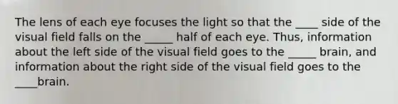 The lens of each eye focuses the light so that the ____ side of the visual field falls on the _____ half of each eye. Thus, information about the left side of the visual field goes to the _____ brain, and information about the right side of the visual field goes to the ____brain.