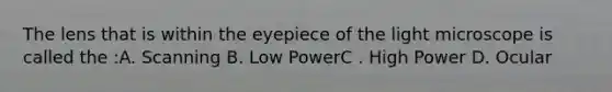 The lens that is within the eyepiece of the light microscope is called the :A. Scanning B. Low PowerC . High Power D. Ocular