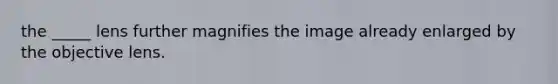 the _____ lens further magnifies the image already enlarged by the objective lens.