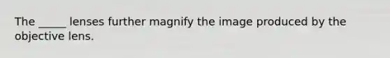 The _____ lenses further magnify the image produced by the objective lens.