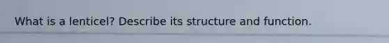 What is a lenticel? Describe its structure and function.