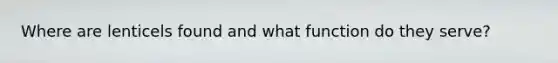 Where are lenticels found and what function do they serve?