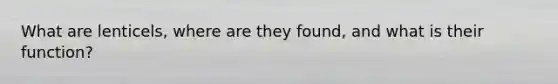 What are lenticels, where are they found, and what is their function?
