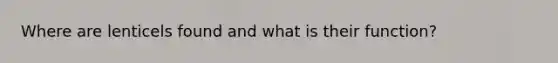 Where are lenticels found and what is their function?