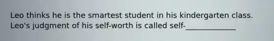 Leo thinks he is the smartest student in his kindergarten class. Leo's judgment of his self-worth is called self-_____________